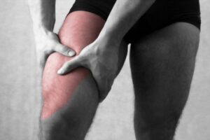 Músculo cuádriceps femoral músculo cuádriceps femoral
