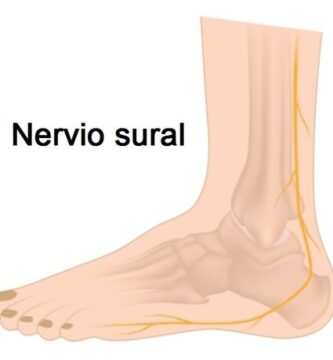 nervio sural