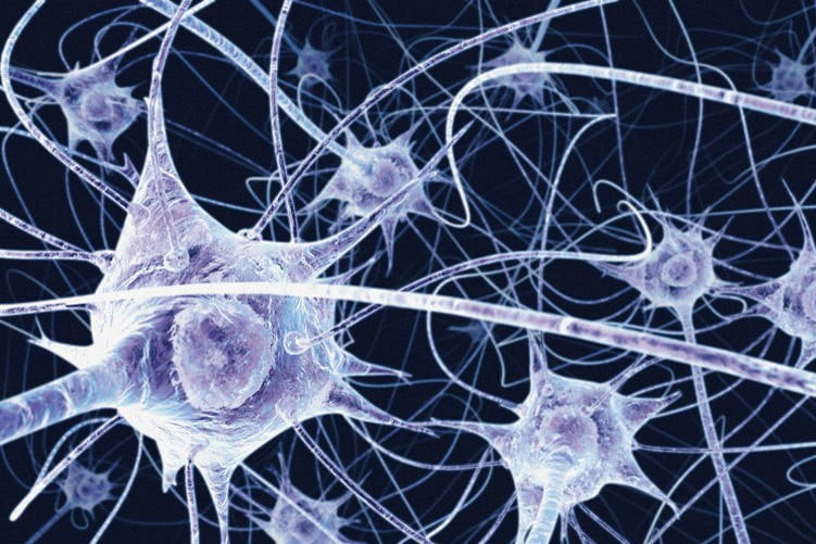 Neuronas neuronas
