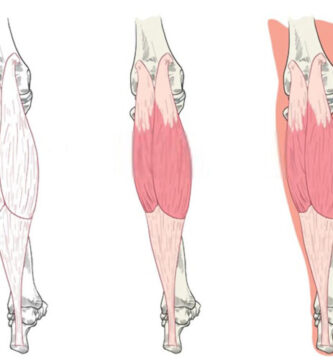 músculo triceps sural