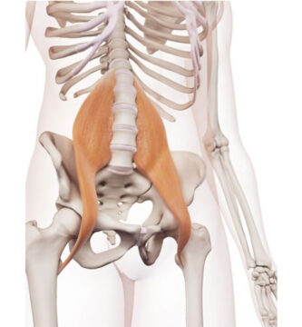 psoas mayor