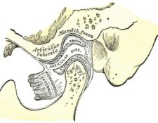 Articulación temporomandibular