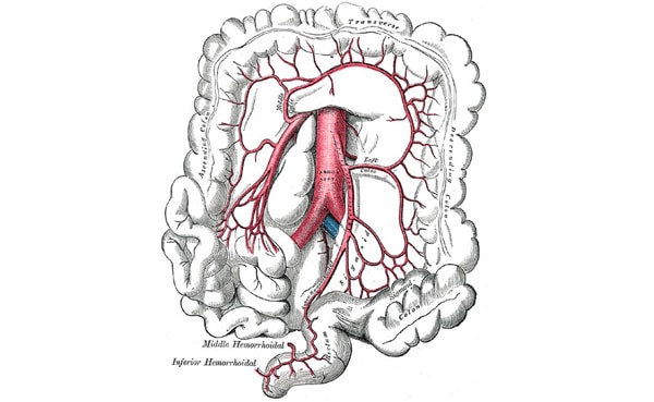 Arteria cólica izquierda