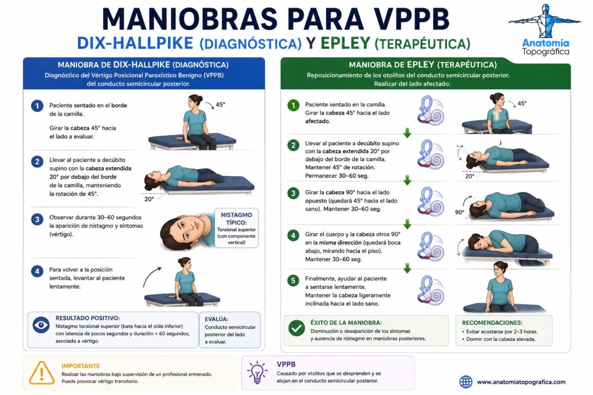 Maniobra de Dix-Hallpike (diagnóstica) y maniobra de Epley (terapéutica) para el VPPB